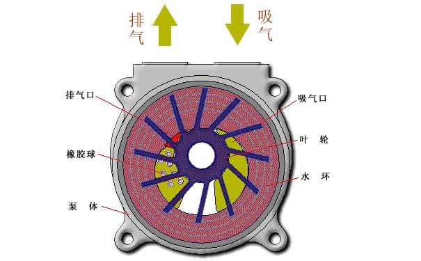水環(huán)真空泵，水環(huán)式真空泵工作原理