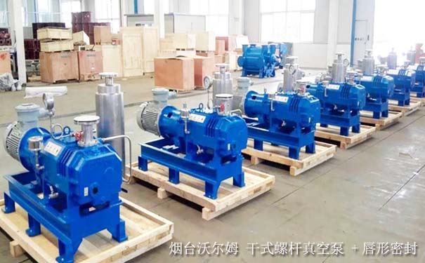 ?【真空泵廠】山東真空泵廠家哪家好？推薦沃爾姆品牌廠家直銷
