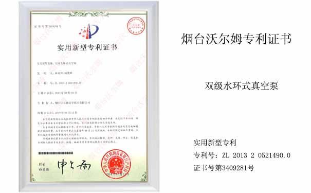 沃爾姆專利證書：雙級(jí)水環(huán)式真空泵證書