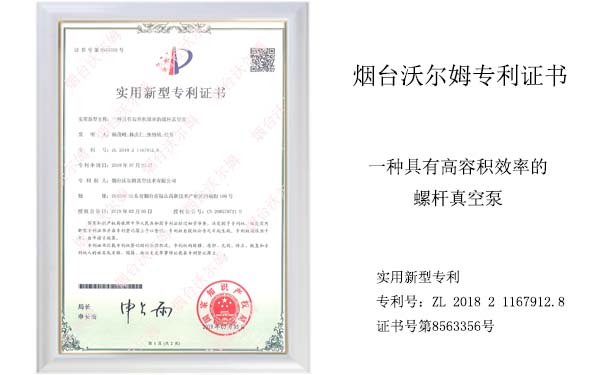 沃爾姆專利證書(shū)：一種具有高容積效率的螺桿真空泵